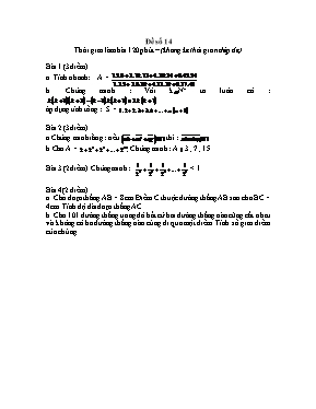 Đề thi học sinh giỏi Toán lớp 6 - Đề số 14